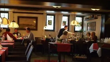 Hotel Goldener Karpfen-2